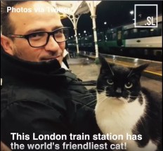 Screenshot 2021-10-09 182132