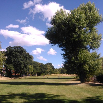 Black Poplars on Long Meadow by Glynis&nbsp;Williams