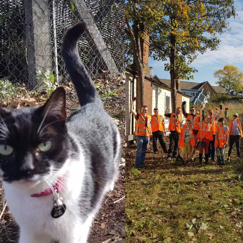 Friends Rejuvenation of Gipsy&nbsp;Hill