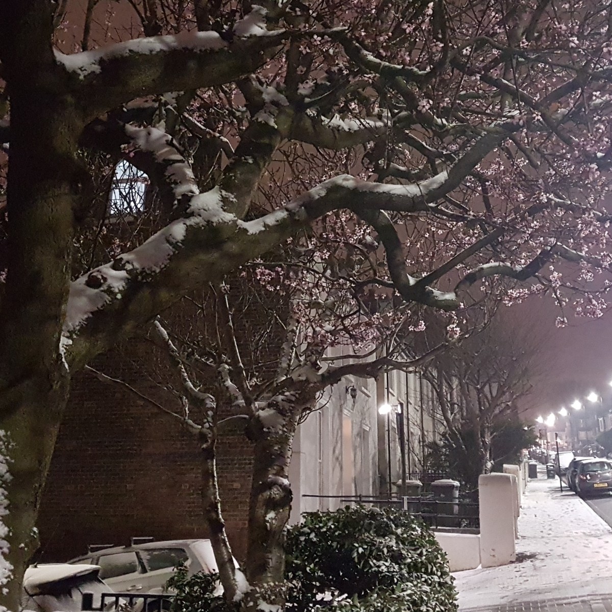 Lambeth Snow Wardens