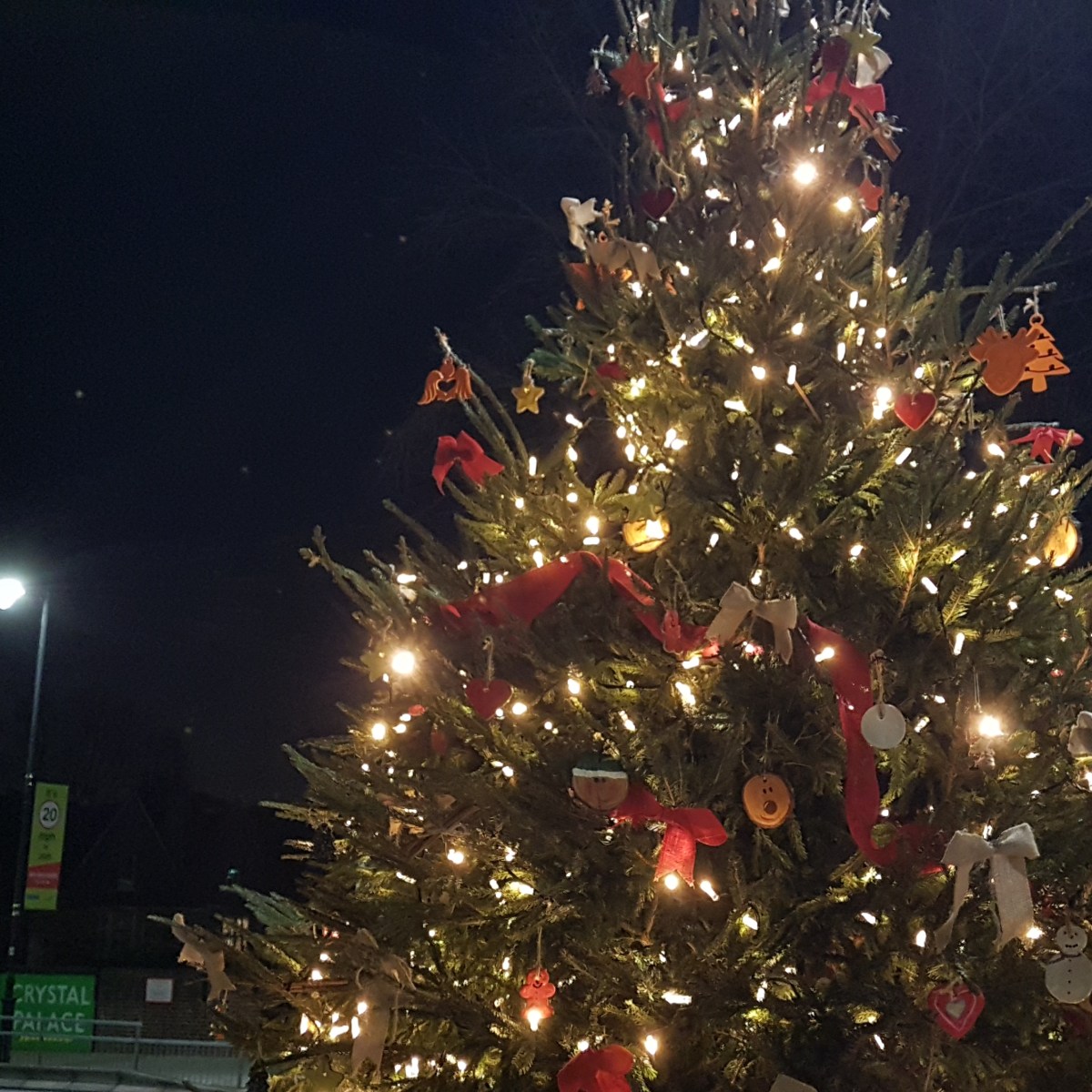 A tree of hope for Gipsy&nbsp;Hill!