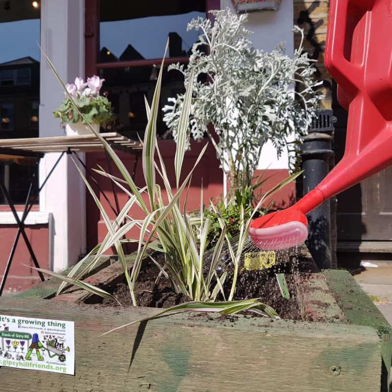 Blooming Gipsy Road (Part&nbsp;1)