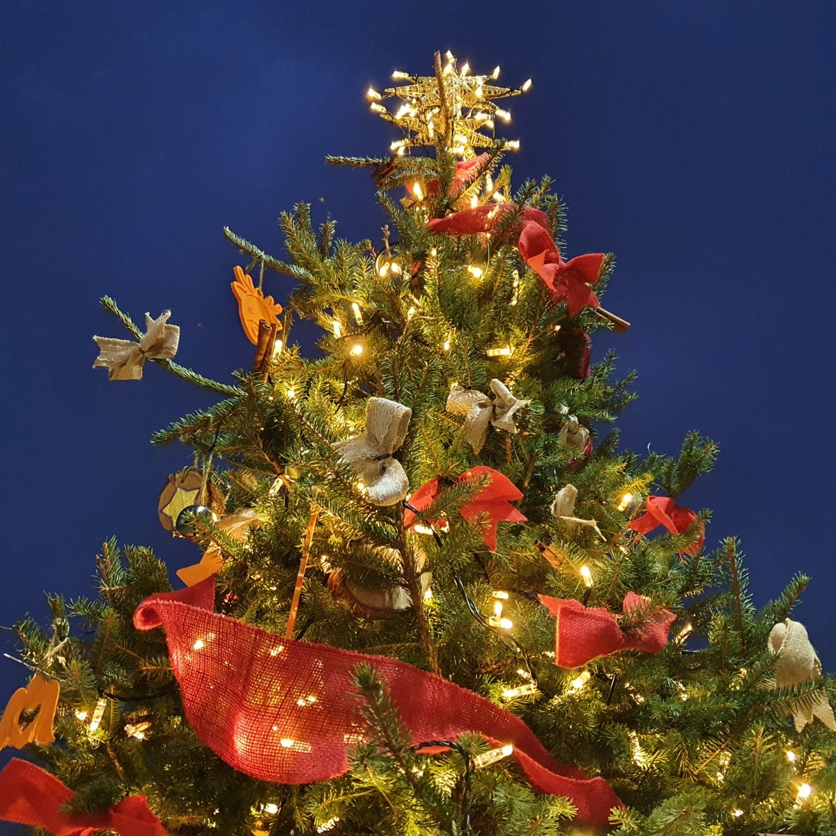 Gipsy Hill’s 2022 Community Christmas Tree&nbsp;Crowdfund