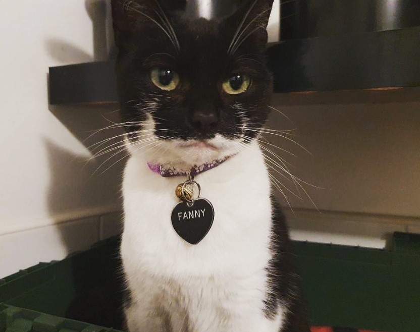 Screenshot 2021-12-07 215416