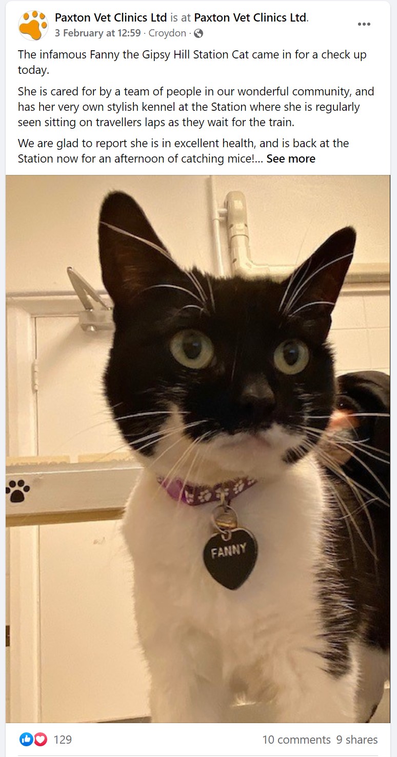 screenshot-2022-02-07-113546