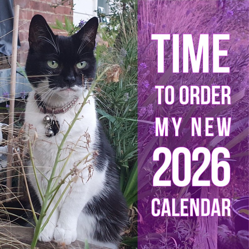 Fanny the Gipsy Hill Cat Calendar&nbsp;2026